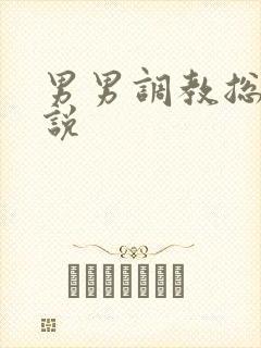 男男调教总裁小说