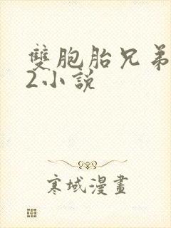 双胞胎兄弟1v2小说