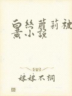 白丝萝莉被插高黄小说封面