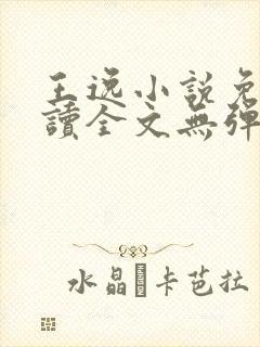 王逸小说免费阅读全文无弹窗