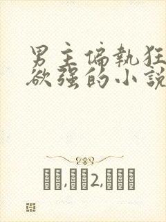 男主偏执狂占有欲强的小说