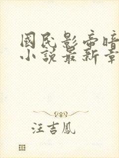 国民影帝暗恋我小说最新章节封面