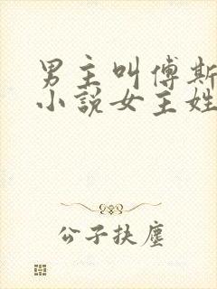 男主叫傅斯年的小说女主姓盛