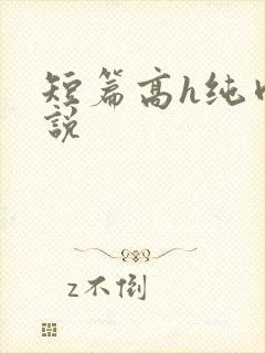 短篇高h纯肉小说