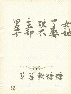 男主破了女主身子却不娶她的小说封面