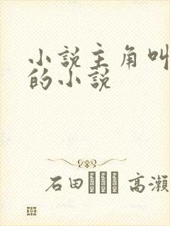 小说主角叫林昊的小说封面