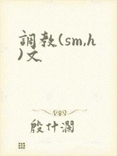 调教(sm,h)文封面