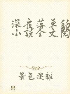 深夜落单的少女小说全文阅读