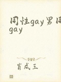 同性gay男同gay