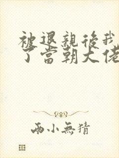 被退亲后我嫁给了当朝大佬小说