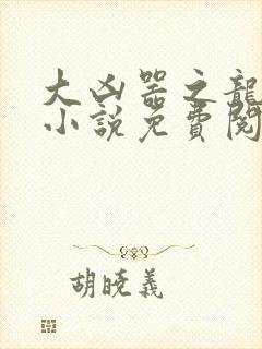 大凶器之龙傻子小说免费阅读封面