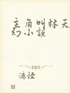 主角叫林天的玄幻小说