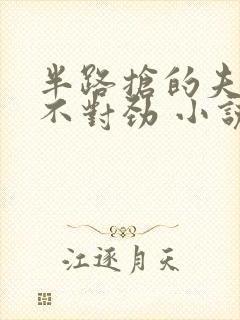 半路抢的夫君他不对劲 小说完整