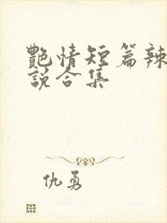 艳情短篇辣文小说合集