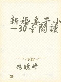 新婚妻子小说1—30章阅读