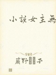 小说女主无cp