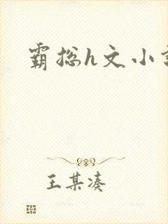 霸总h文小说封面