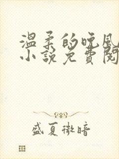 温柔的晚风老佟小说免费阅读