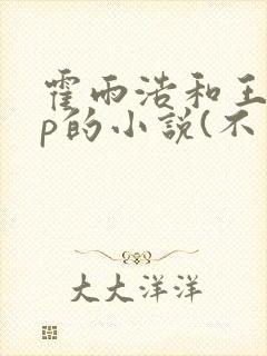 霍雨浩和王冬cp的小说(不是唐舞桐)