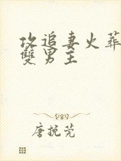 攻追妻火葬场的双男主