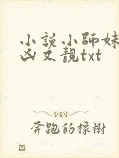 小说小师妹她又凶又靓txt封面