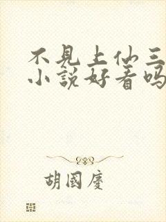 不见上仙三百年小说好看吗