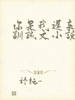 你是我迟来的光训诫文小说在线阅读