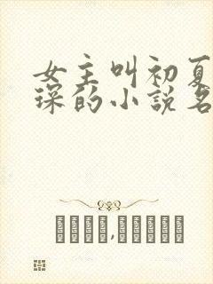 女主叫初夏顾霆琛的小说名字