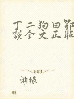 丁二狗田鄂茹小说全文正版免费阅读