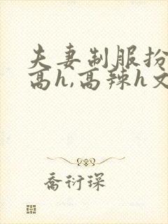 夫妻制服扮演(高h,高辣h文)