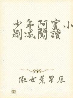 少年阿宾小说无删减阅读