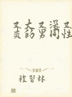 又大又深又猛又爽的男同性恋视频