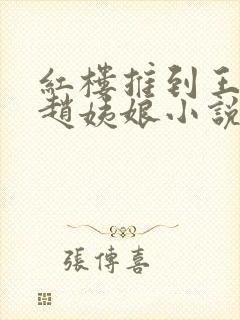 红楼推到王夫人赵姨娘小说