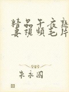 精品午夜熟女人妻视频毛片