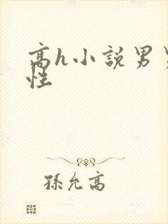 高h小说男男双性