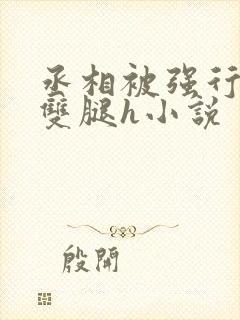 丞相被强行扒开双腿h小说封面