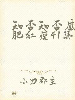 知否知否应是绿肥红瘦41集免费观看