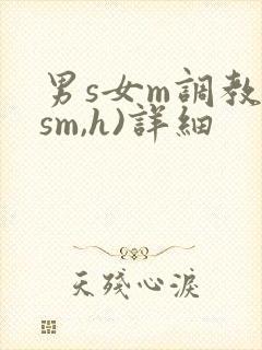 男s女m调教(sm,h)详细