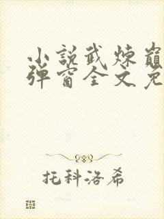 小说武炼巅峰无弹窗全文免费阅读