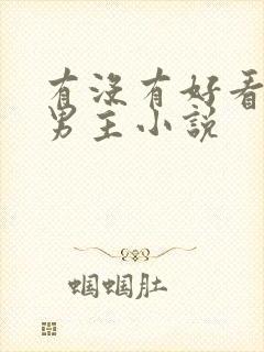 有没有好看的双男主小说