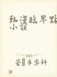 韩漫临界点原著小说