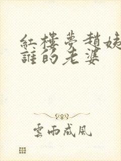 红楼梦赵姨娘是谁的老婆封面