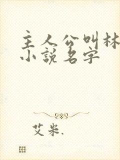 主人公叫林峰的小说名字