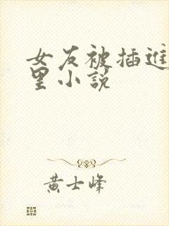 女友被插进小逼里小说