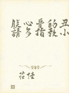 朕心爱的丑姑娘请多指教小说封面