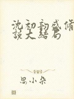 沈初韵盛修齐小说大结局封面