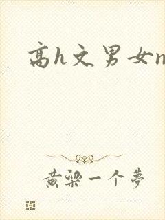 高h文男女np