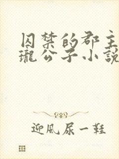 囚禁的郡主by珑公子小说免费阅读封面