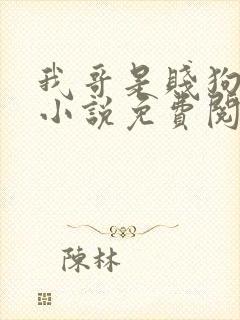 我哥是贱狗bg小说免费阅读