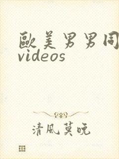欧美男男同性恋videos